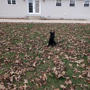 Meet your Posher, Danny